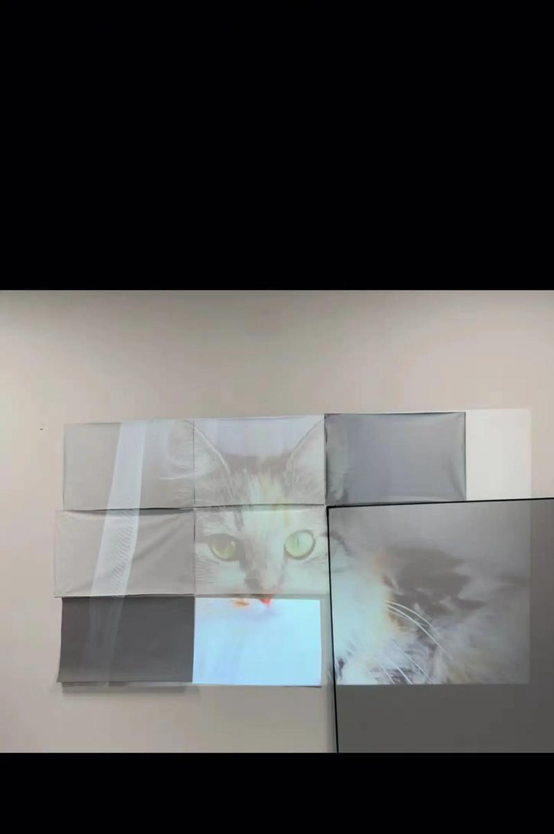 手机拍照时如何正确使用幕布？幕布对拍照效果有何影响？  第1张