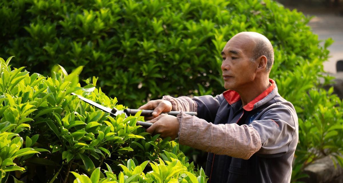 使用相机慢镜头功能会有什么效果？慢镜头拍摄技巧有哪些？  第2张