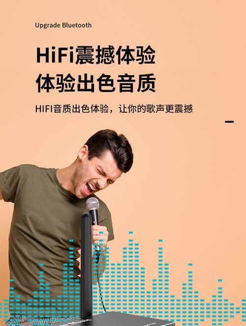 功放蓝牙话筒连接音箱的方法是什么？  第1张