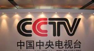 小花花被称作电视机的原因是什么？  第1张