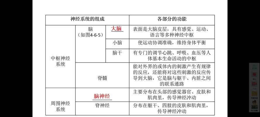 生命人体服务器的进入方法是什么？进入后能做什么？  第2张