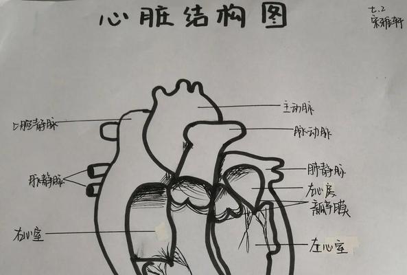 生命人体服务器的进入方法是什么？进入后能做什么？  第3张