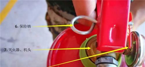 顶点座式充电器使用方法是什么？  第1张