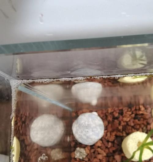 拿破仑洗衣机缺少过滤网的原因是什么？  第3张