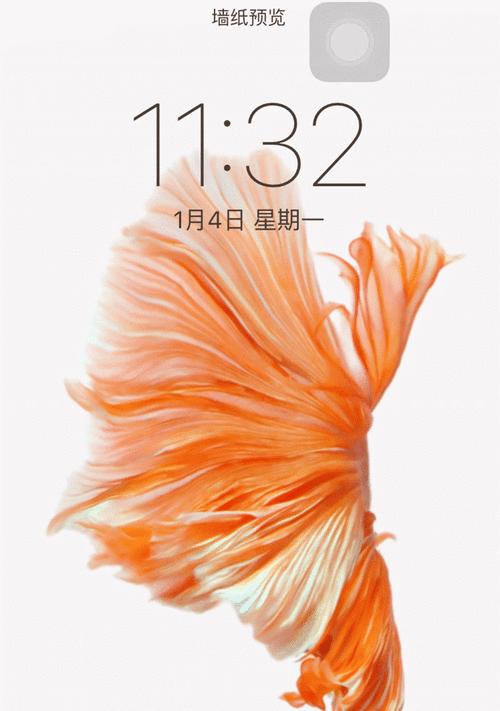 金立F100支持动态壁纸设置吗？如何操作实现？  第2张