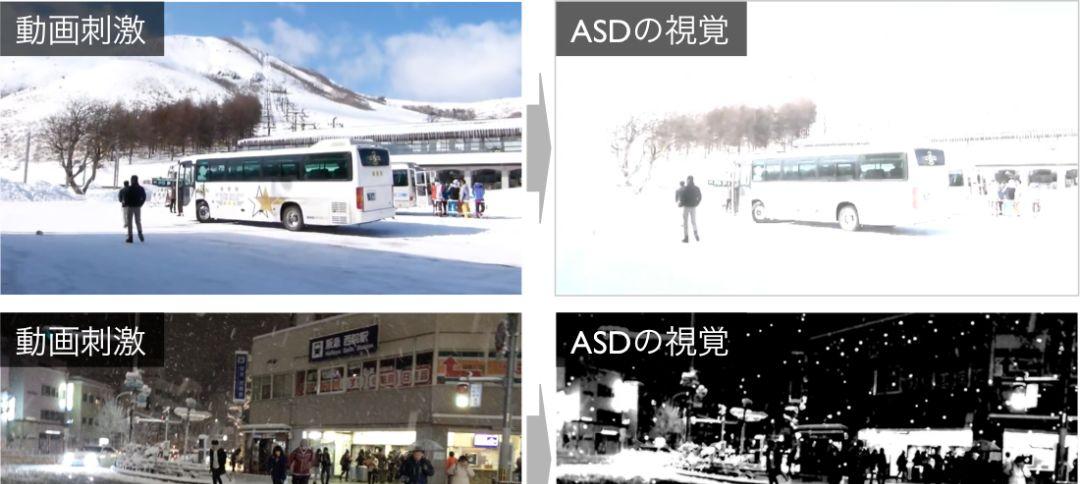 長井志江：AI模拟并协助自闭症患者，探究人类认知与意识本质  第4张