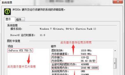 海豚苹果手表的使用技巧有哪些？如何设置？  第1张