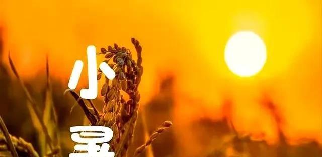 台风丹娜丝跑偏大拐弯，新一轮降雨中心已定，大雨暴雨分布如下  第2张