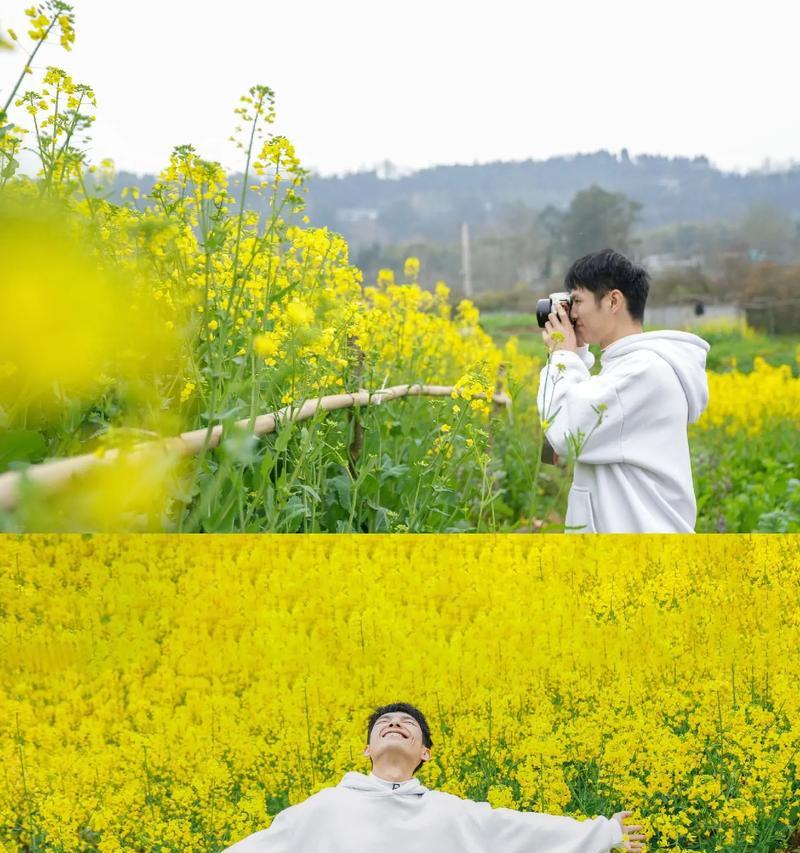 木木手机软件如何下载？下载过程中应注意什么？  第3张