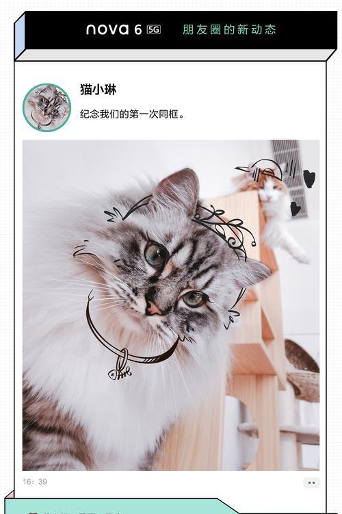 萌宠无线摄像头怎么用手机连接？连接方法和功能有哪些？  第3张