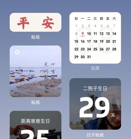 vivo主题充会员流程是什么？如何购买vivo主题会员服务？  第1张